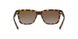 8029T5 - Havana - Polar Brown Gradient