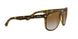 710/51 - Havana - Crystal Brown Gradient