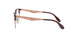 5786 - Brown