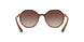 238613 - Brown Gradient