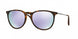 Ray-Ban Erika 4171 Sunglasses