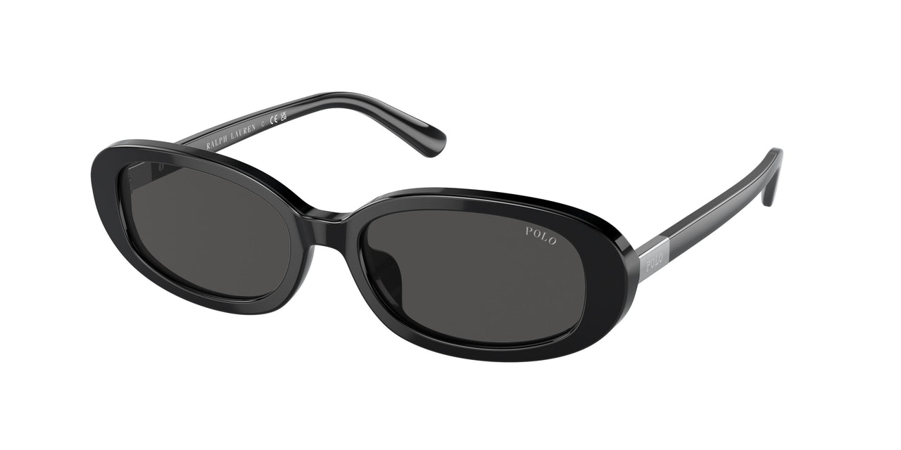 Polo 4198U Sunglasses