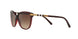 301413 - Bordeaux - Brown Gradient