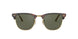 990/58 - Havana - Crystal Green Polarized