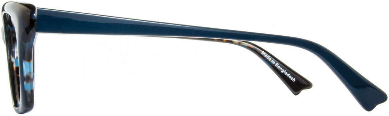 1 - Peacock / Teal Tortoise