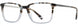 1 - Silver Tortoise
