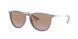 600068 - Brown - Brown Gradient