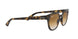 710/51 - Havana - Clear Gradient Brown