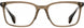 STATE Optical Co. HOWARD Eyeglasses