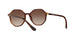 238613 - Brown Gradient