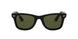 601/58 - Black - Green Polarized