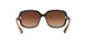 535313 - Black - Brown Gradient