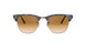 125651 - Havana - Clear Gradient Brown