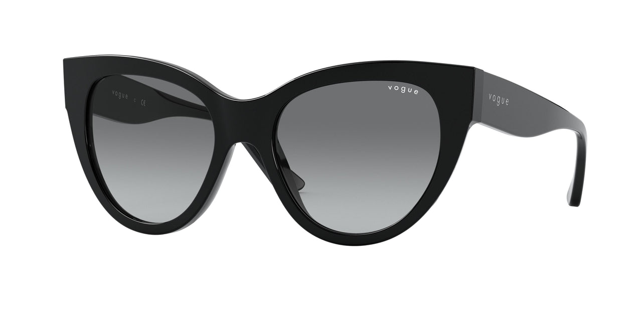 Vogue Eyewear 5339S Sunglasses