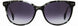 STATE Optical Co. ROSCOESUN Sunglasses