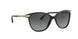 3001T3 - Black - Polar Grey Gradient