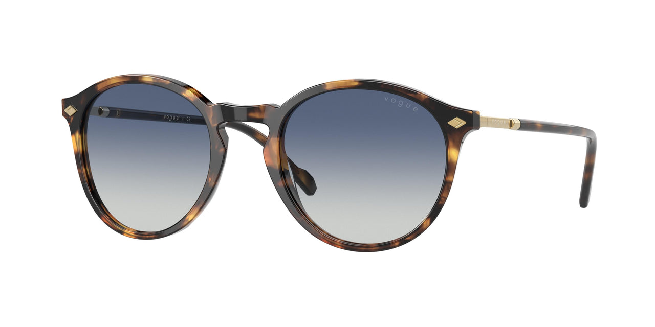 Vogue Eyewear 5432S Sunglasses