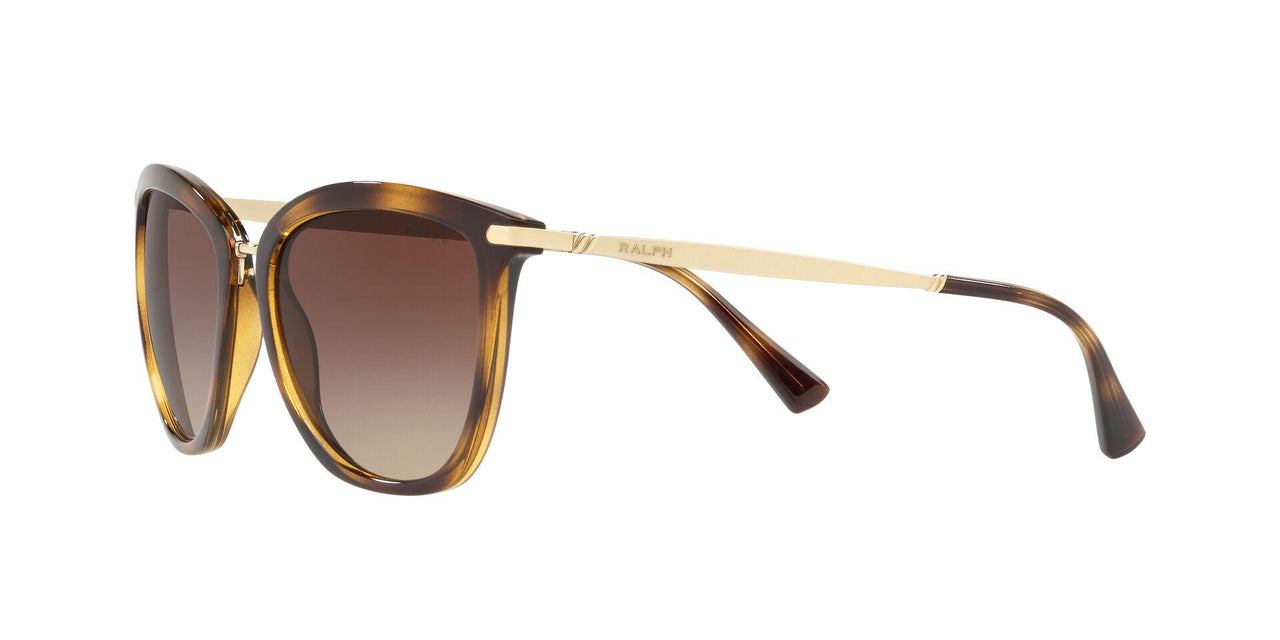 500313 - Gradient Brown