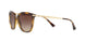 500313 - Gradient Brown