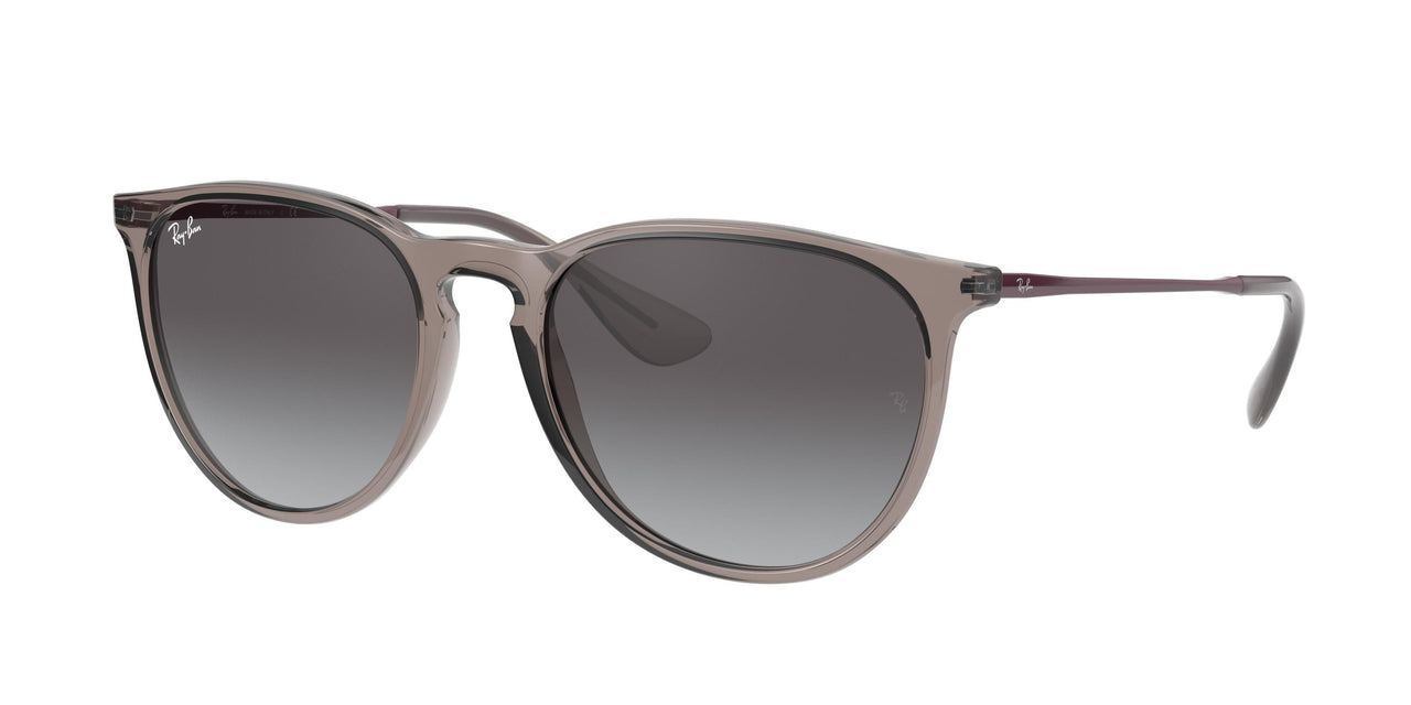 Ray-Ban Erika 4171 Sunglasses