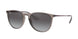 Ray-Ban Erika 4171 Sunglasses