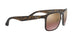 894/6B - Havana - Brown Polar Mirror Gold