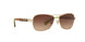 910013 - Gold - Brown Gradient