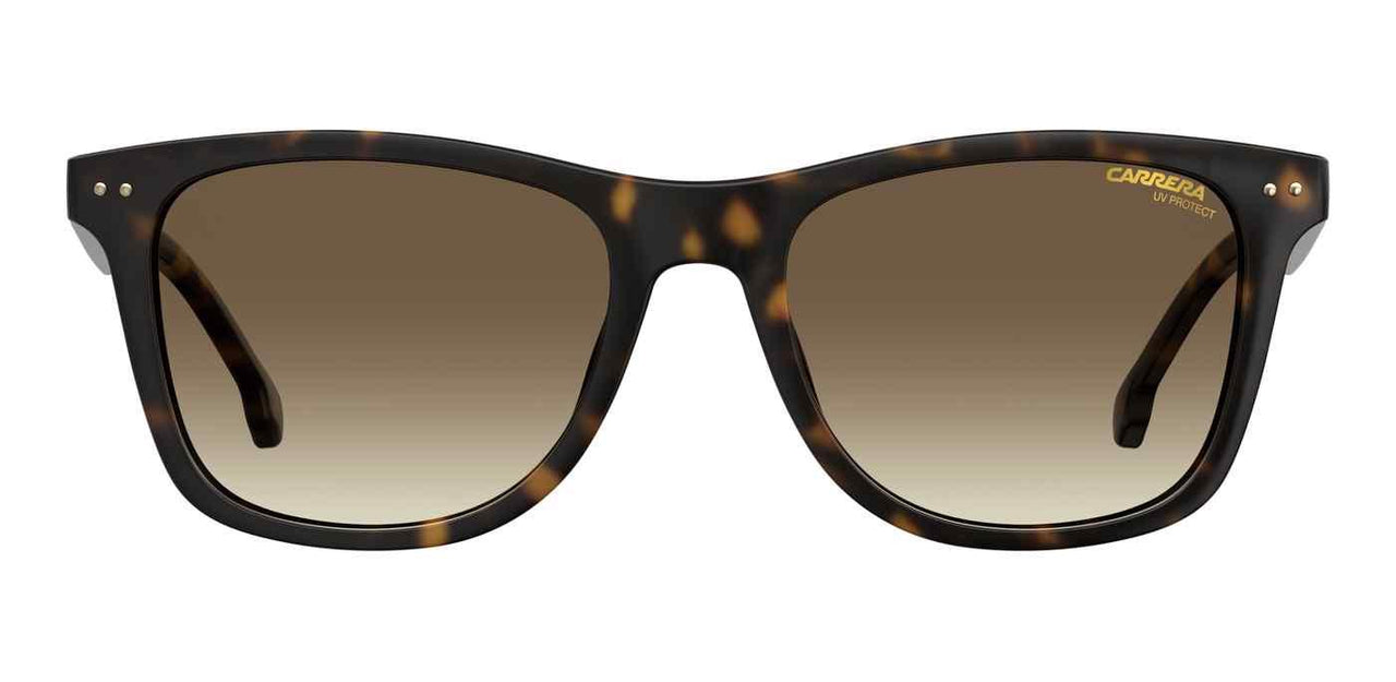0086-HA - Dark Havana - Brown Gradient