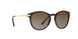 3106T5 - Havana - Brown Gradient Polarized