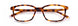 Paradigm 21-08 Eyeglasses