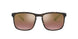 894/6B - Havana - Brown Polar Mirror Gold