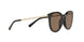 333273 - Brown Solid
