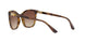 W65613 - Havana - Brown Gradient