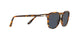 1081R5 - Brown - Blue
