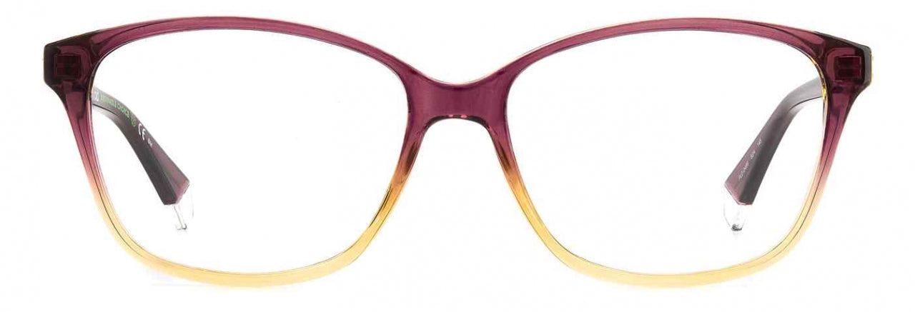 Polaroid Core PLDD466 Eyeglasses