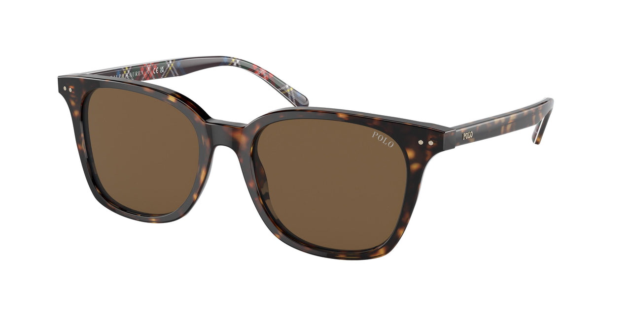 Polo 4187 Sunglasses