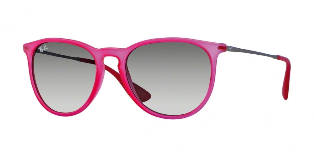 Ray-Ban Erika 4171 Sunglasses