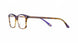 PUBR - Purple Brown