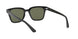 601/9A - Black - Dark Green Polar