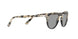 9054R5 - Havana - Grey