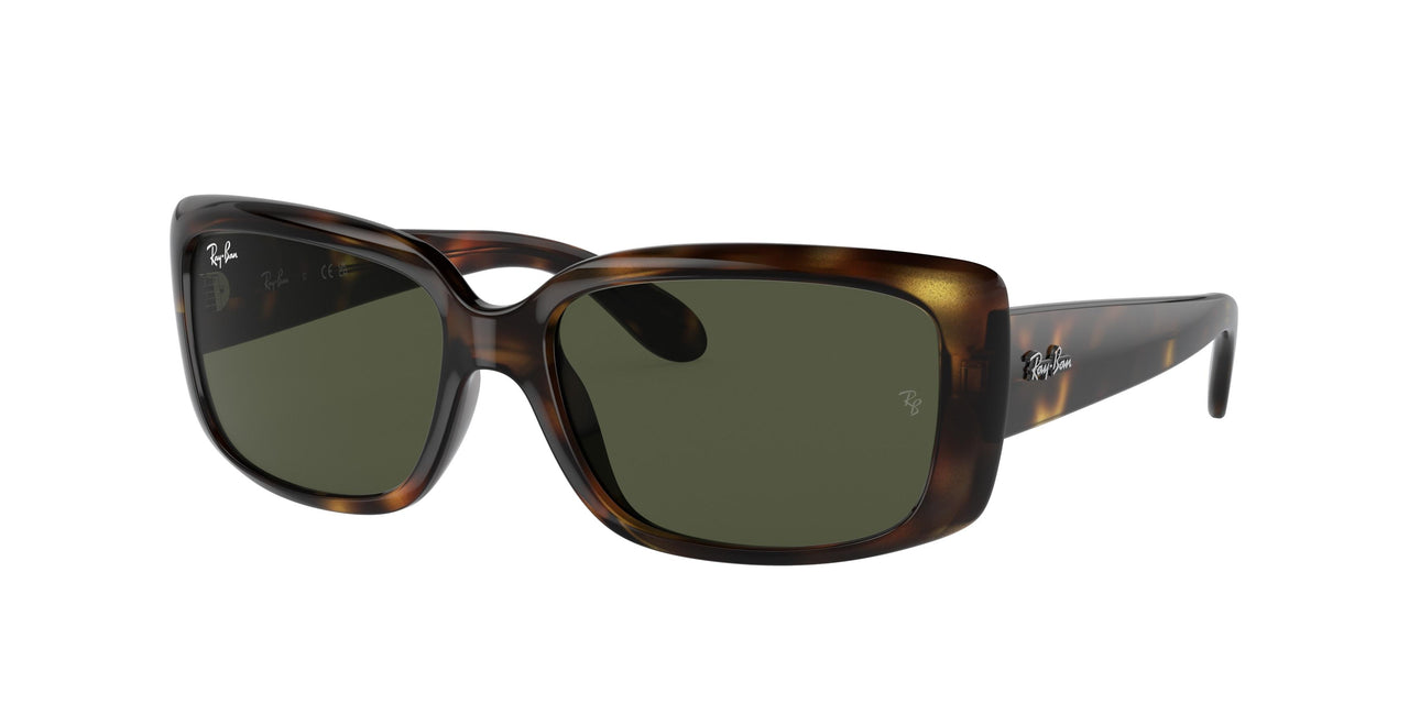 Ray-Ban 4389 Sunglasses