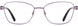 1 - Plum