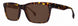 1 - Amber Tortoise