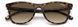 0086-HA - Dark Havana - Brown Gradient