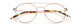 Paradigm 19-04 Eyeglasses