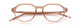 Paradigm 20-08 Eyeglasses
