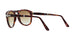 24/51 - Havana - Crystal Brown Gradient