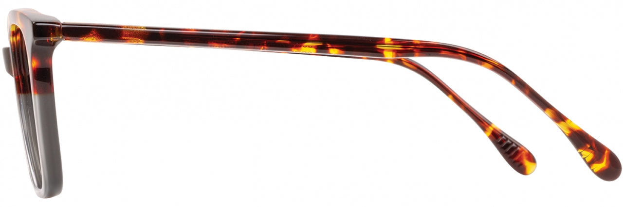 1 - Amber Tortoise Ash