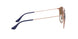 917551 - Blue - Clear Gradient Brown