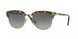 Persol Cellor 3105S Sunglasses